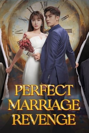 Perfect Marriage Revenge izle